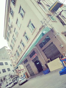 東莞天一針織毛衣加工廠 專業(yè)針織毛衣加工，滿足多樣化服裝需求